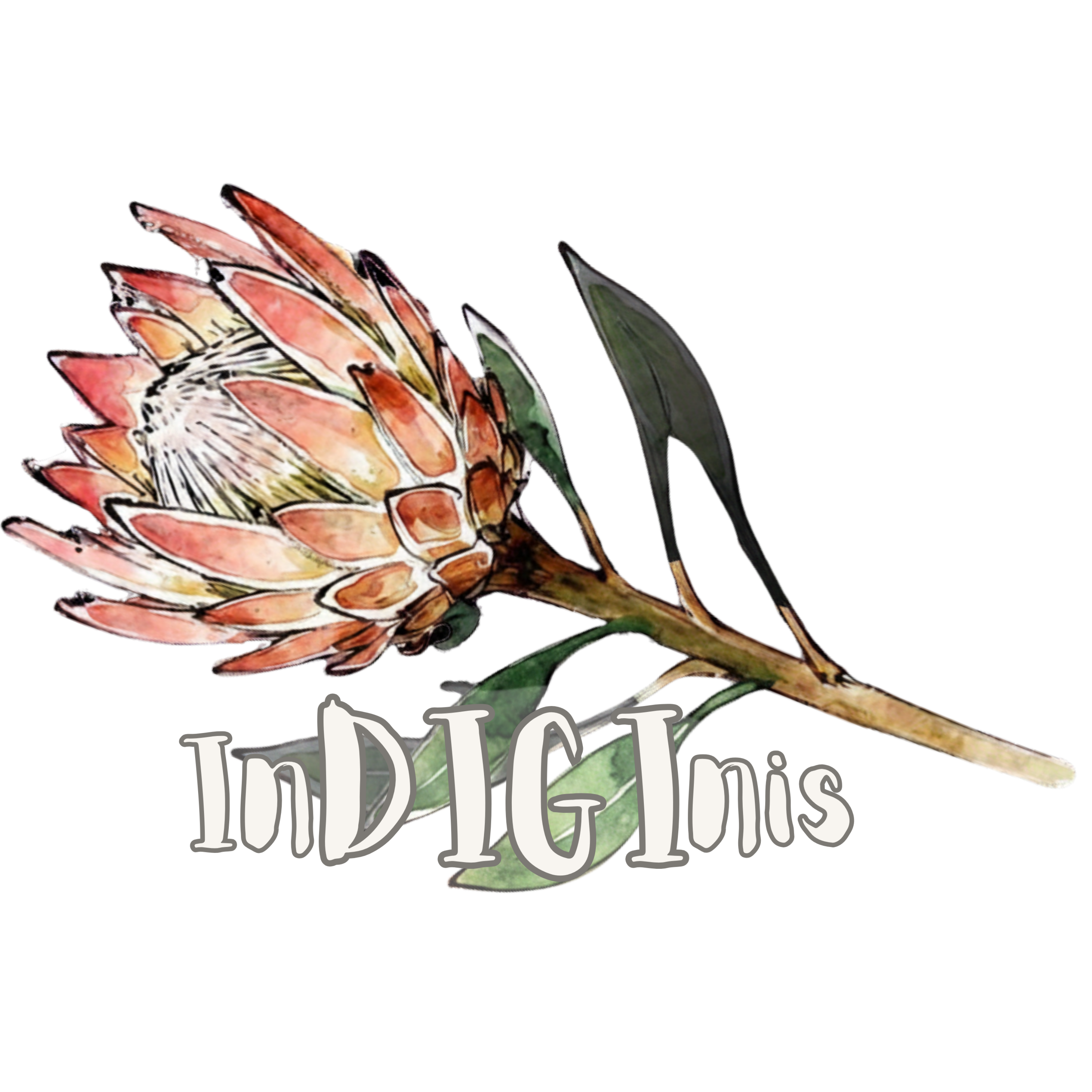 InDIGInis